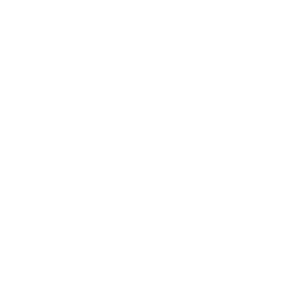 Lithium Networks Different IT Icon Proactive