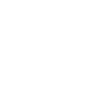 Lithium Networks Different IT Icon Service