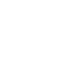 Lithium Networks Partner Icon Dell