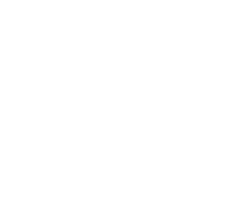 Lithium Networks Partner Icon Fortinet