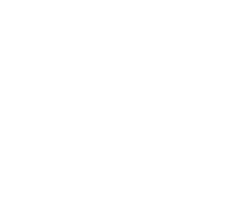Lithium Networks Partner Icon HP