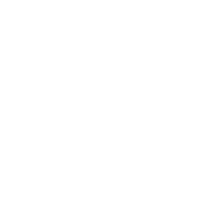 Lithium Networks Partner Icon Meraki