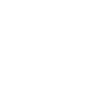 Lithium Networks Partner Icon VMWare
